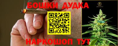 прущий лед Гусев