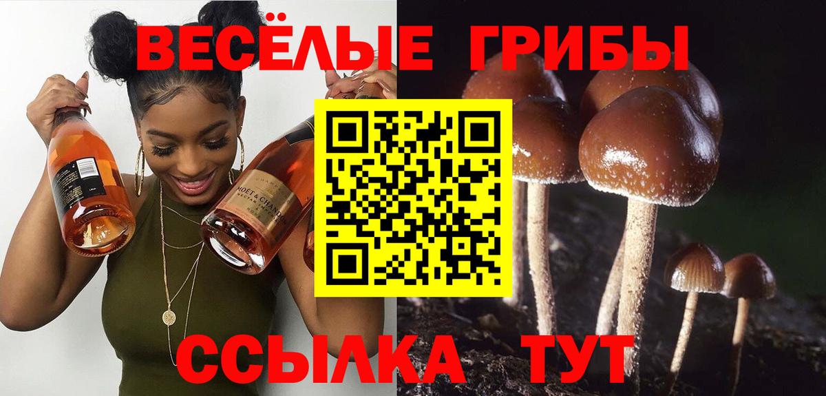 магазин    Псилоцибиновые грибы MAGIC MUSHROOMS  Вход с VPN  Магадан 