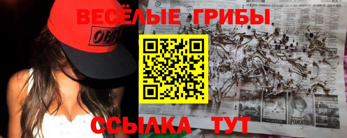 Псилоцибиновые грибы Magic Shrooms Магадан
